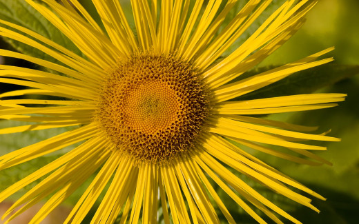 852652 (a): :1920x1200